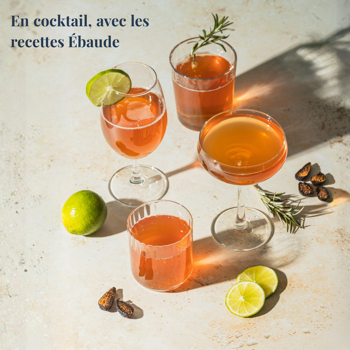 Ébaude Méditerranée